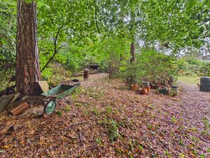WOODLAND AREA TO REAR OF GARDEN- click for photo gallery